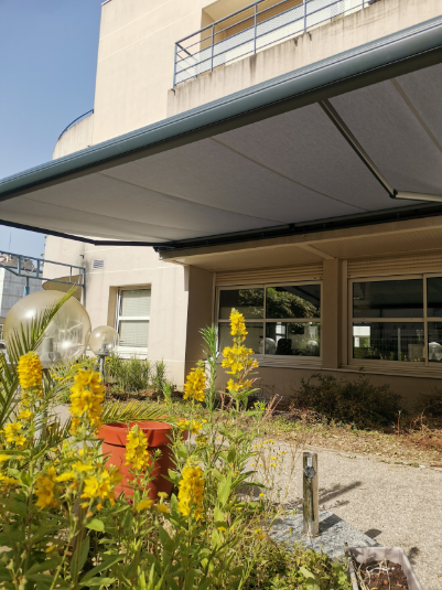 BAIE OUEST Menuiserie Interieure Rennes BAIE OUEST STORE EXTERIEUR BOSJIMG 20220617 100011